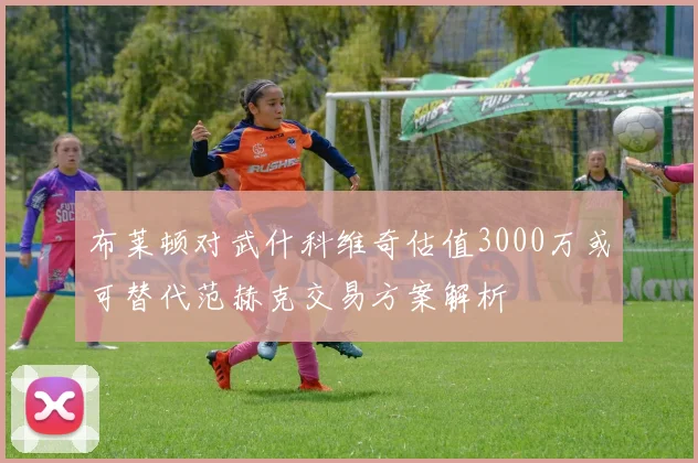 布莱顿对武什科维奇估值3000万或可替代范赫克交易方案解析
