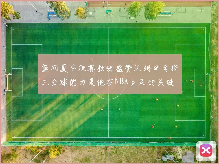 篮网夏季联赛教练盛赞汉姆里奇斯三分球能力是他在NBA立足的关键
